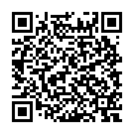 QR code for plate ON 4311