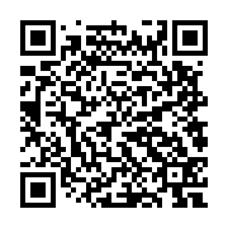 QR code for ON6533