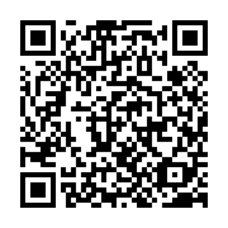 QR code for plate ON 9009