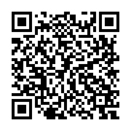 QR code for plate ONK 963