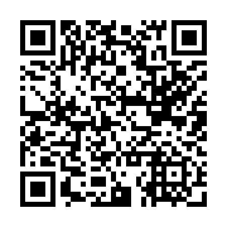QR code for ONY 919