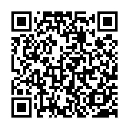 QR code for plate OOL 500
