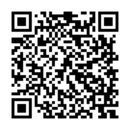 QR code for plate OOZ 985