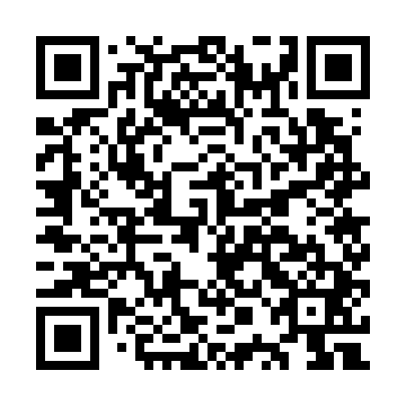 QR code for OPG 741