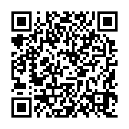 QR code for OPI 383
