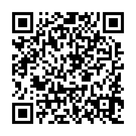QR code for plate OPL 295