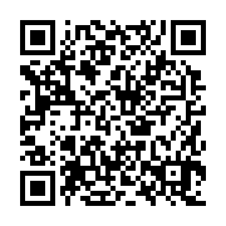 QR code for plate OPP 384