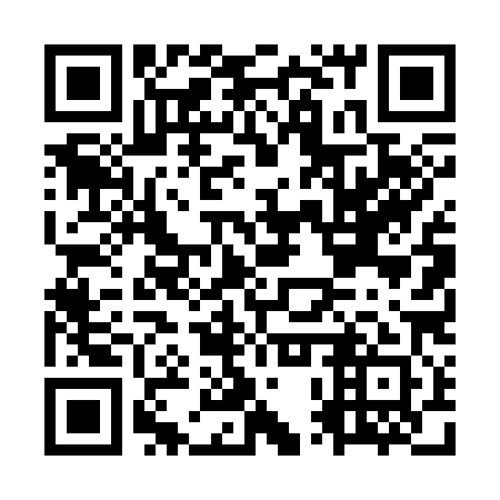 QR code for OPT 381