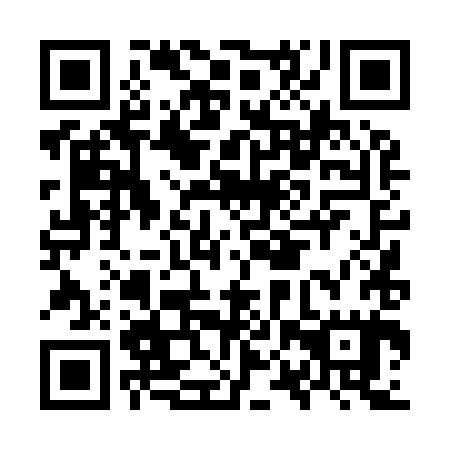 QR code for plate OPT 985