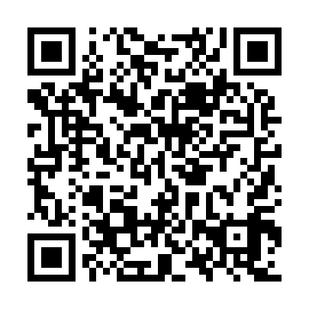 QR code for plate OPZ 919