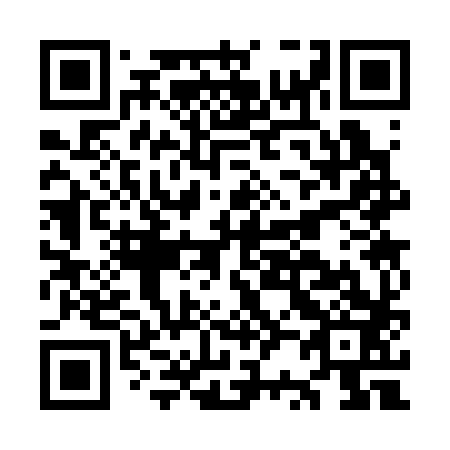 QR code for OR3383