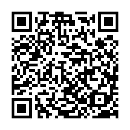 QR code for OR8599