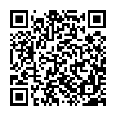 QR code for plate ORD 596