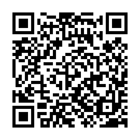 QR code for plate ORF 493
