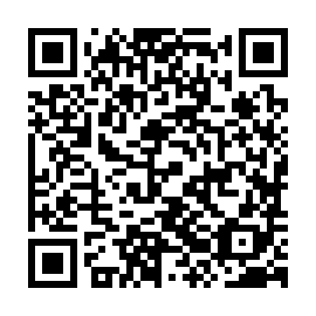 QR code for plate ORJ 388