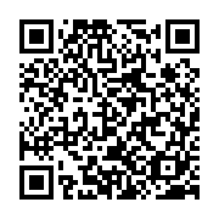 QR code for OSG 161