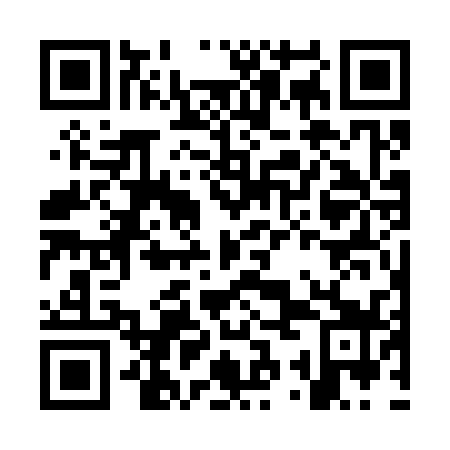 QR code for OSG 339