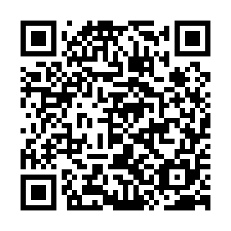 QR code for plate OSG 155