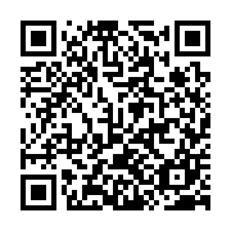 QR code for plate OSG 307