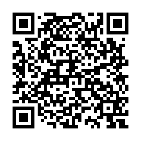 QR code for OSS 161