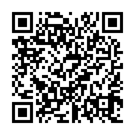 QR code for plate OTN 919