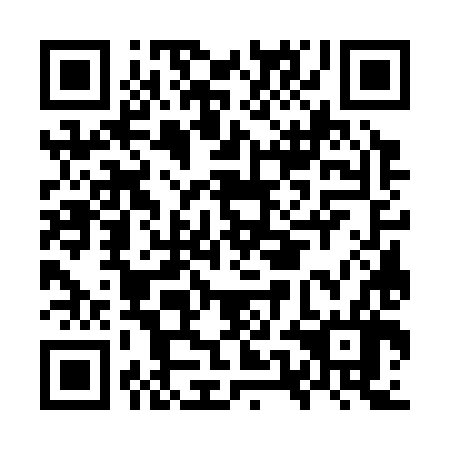 QR code for OUG 386