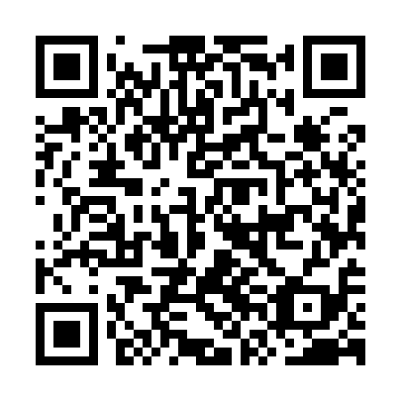 QR code for OVM 919
