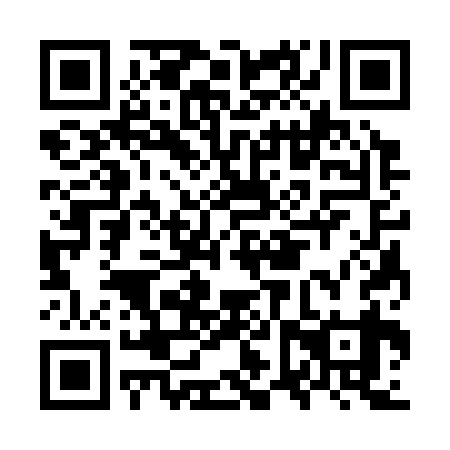 QR code for OVS 339