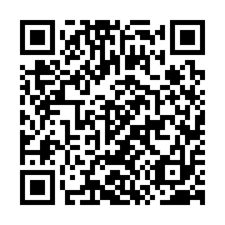 QR code for OW 6313