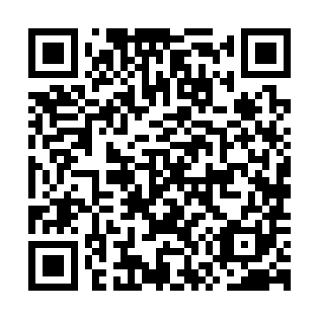 QR code for plate OW 8381