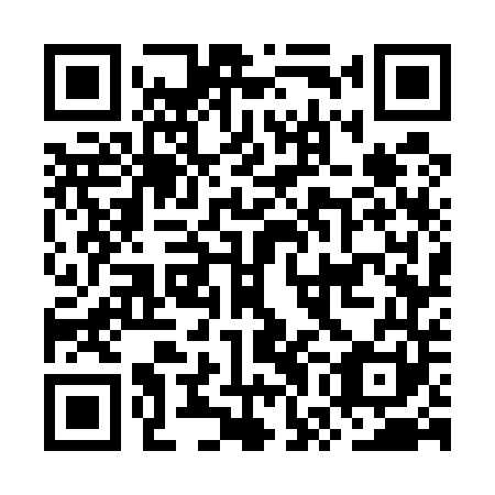 QR code for OWG 541
