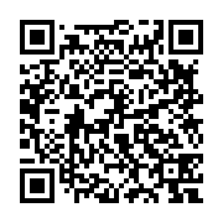 QR code for plate OX 3838