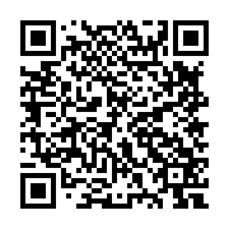 QR code for plate OXE 863