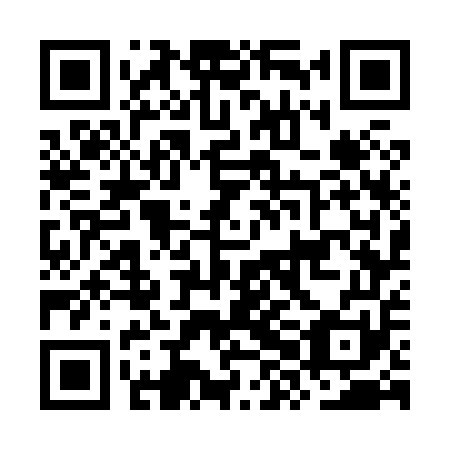 QR code for plate OXG 851