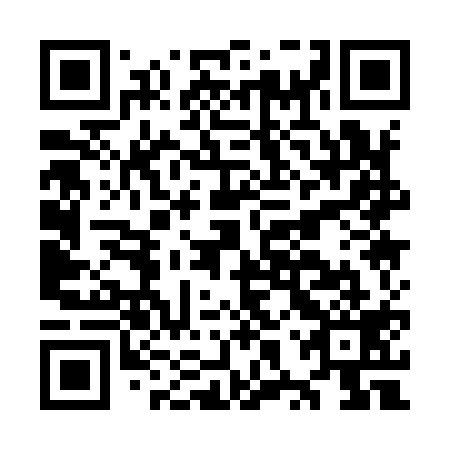 QR code for OXQ 919
