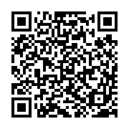 QR code for plate OXR 653