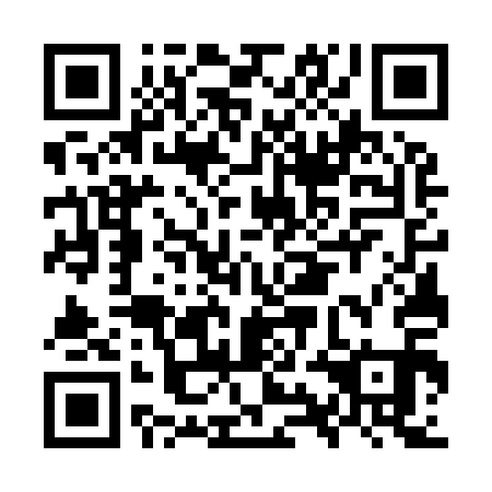 QR code for OYG 911