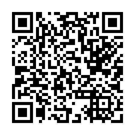 QR code for plate OYO 393