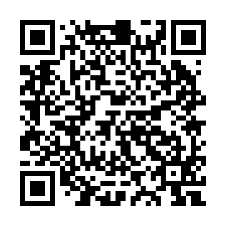 QR code for OYQ 295