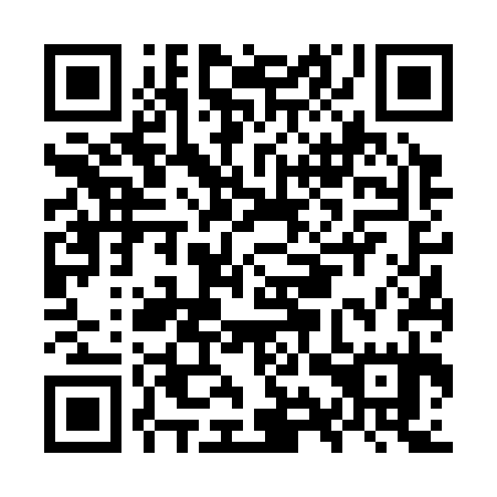 QR code for plate OYV 335