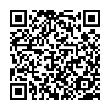 QR code for plate OYY 508