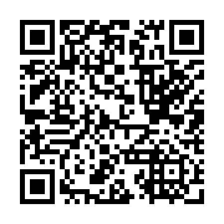 QR code for plate OZG 919