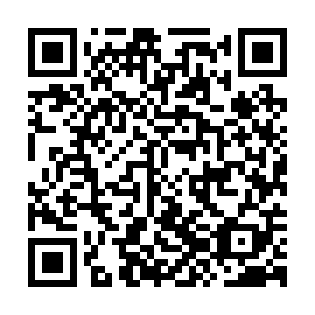 QR code for plate OZM 209