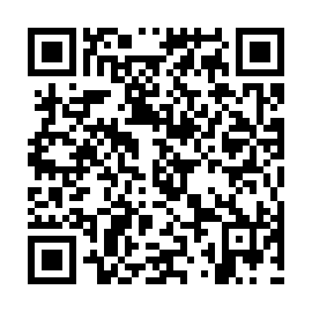 QR code for OZM390