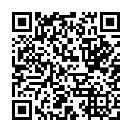 QR code for plate OZM 538