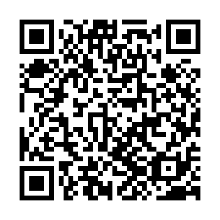 QR code for plate OZM 811