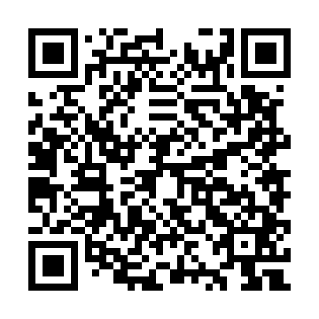 QR code for plate OZN 541