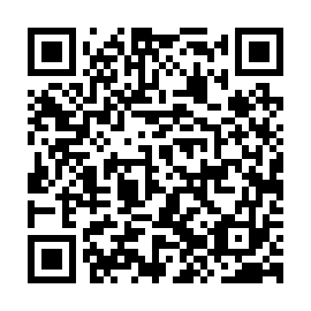 QR code for plate OZT 273