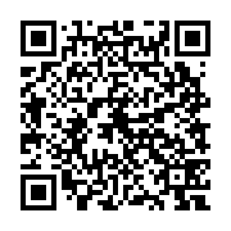 QR code for plate OZT 379