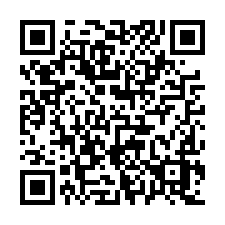 QR code for 100-DYZ